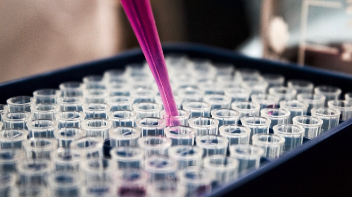 Laboratory