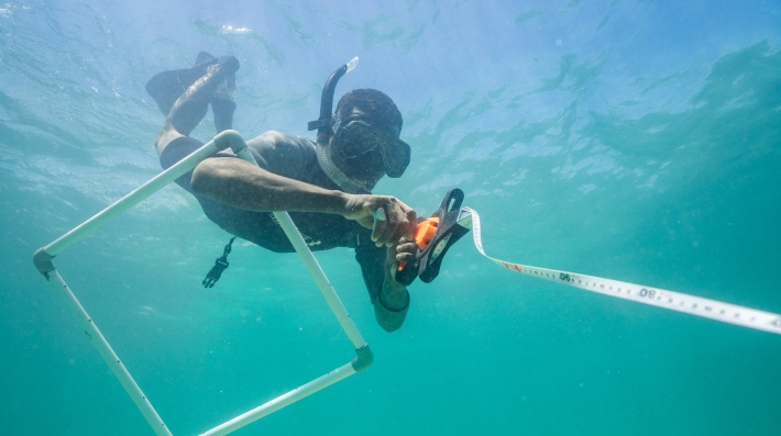 A man dives in the ocean blue with scuba gear