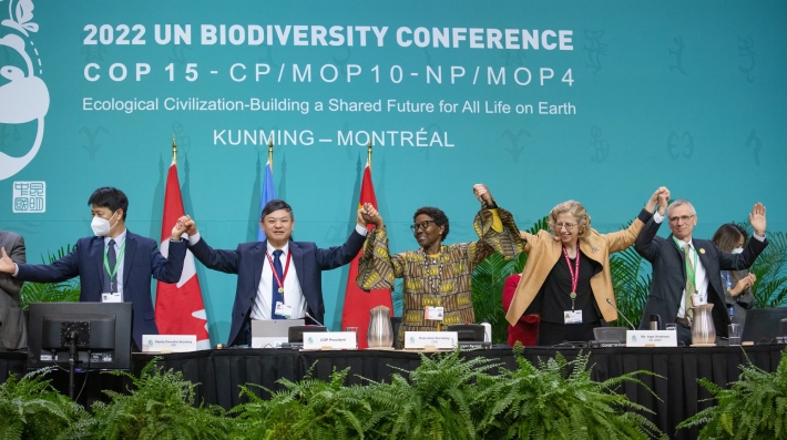 : Delegates, including UNEP Executive Director Inger Andersen, join hands in celebration in front of a wall with “2022 UN Biodiversity Conference” painted on it.