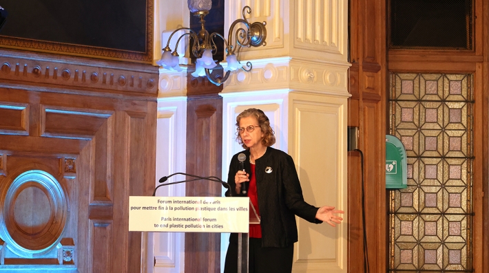 UNEP Executive Director Inger Andersen at INC-2 meeting