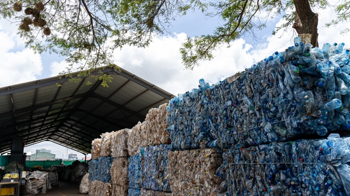 Plastic pollution