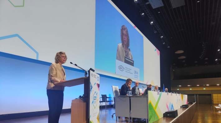 5ª sessão da Conferência Internacional sobre Gerenciamento de Produtos Químicos (ICCM5)