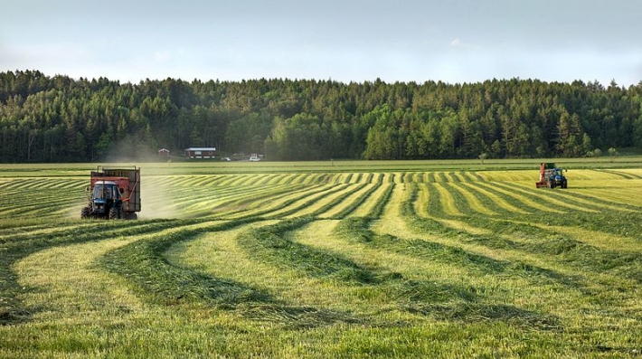 Three ways we can better use nitrogen in farming