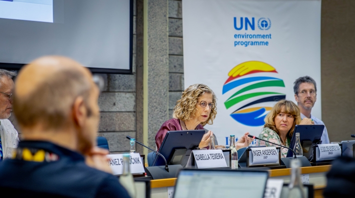 International Resource Panel