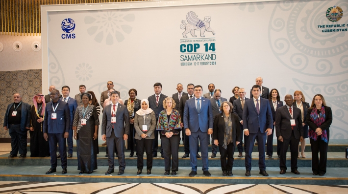 COP14