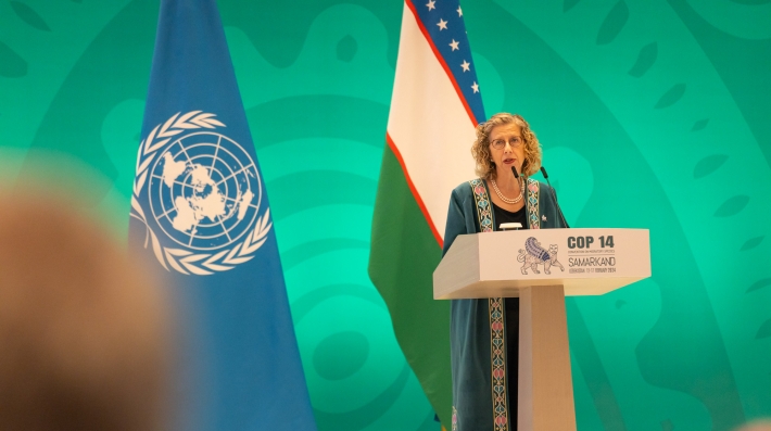 CMS COP 14