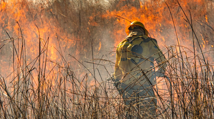 A firefighter walks in the midst of burning grassland
