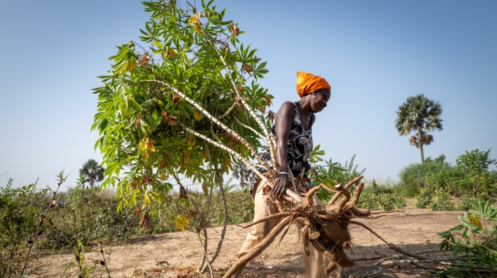 A woman holds a sapling