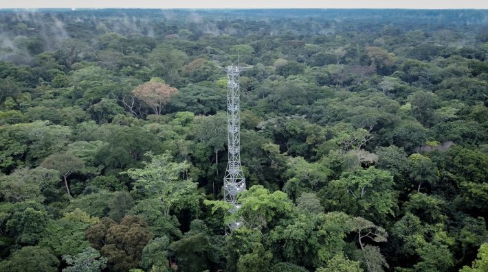 An aerial view of a rainforest  