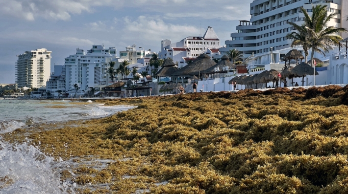 Sargassum algae piles up along the shore at a beach in Cancun.