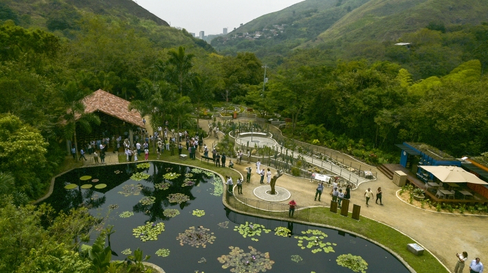 Aerial view of a park with a pond laden with lily pads. 