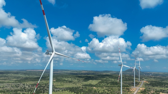 Wind turbines in a field