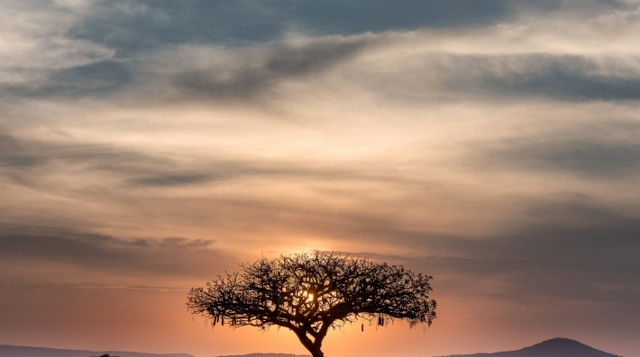  A wide-angle view Tanzania’s Serengeti National Park at sunset 