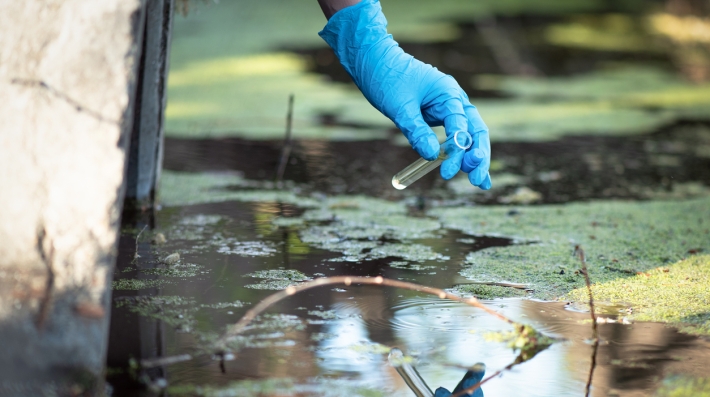 Scientist takes samples of dirty water from a pond into a test tube. 