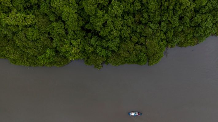 An aerial view of a boat and trees.