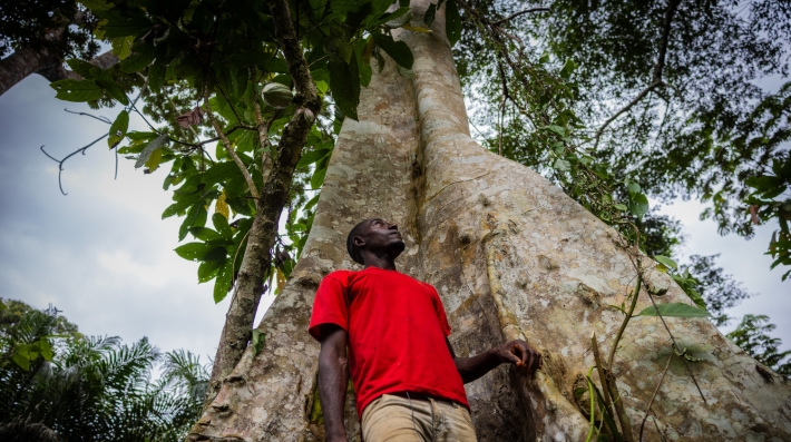 A man standing under a tree.