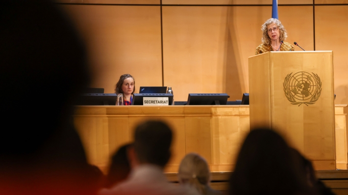 Inger Andersen delivering a speech