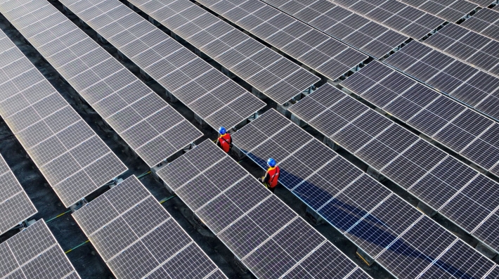 Dos personas caminan entre hileras de paneles solares