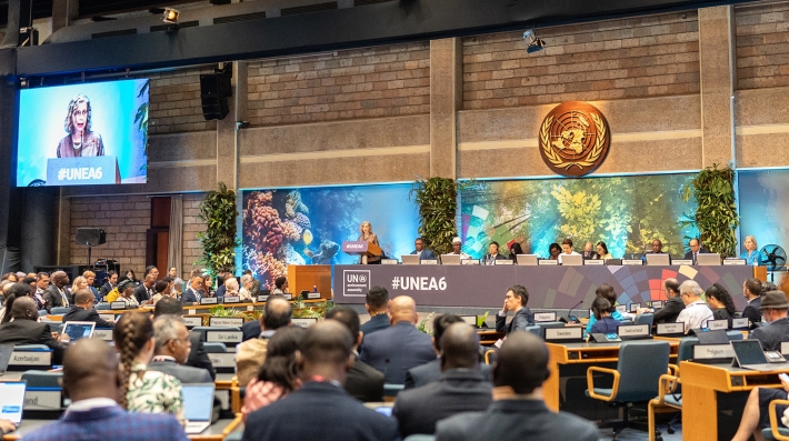 Inger Andersen en la #UNEA6