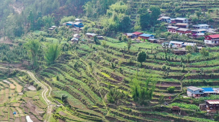 In the Dolakha region of Nepal, specially built ponds allow farmers to grow food  in the dry seasons