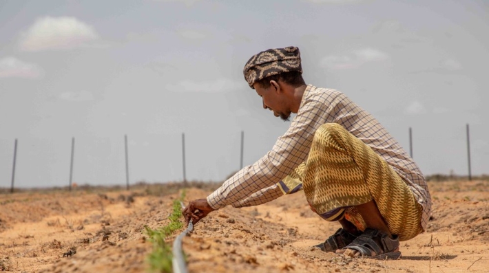 Nur Said Sahal, a farmer and home gardening beneficiary, checks on the small tubes that irrigate the crops of a recently established irrigation farm in Galmudug, Somalia.