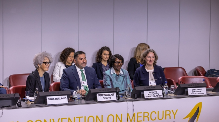 Sixth meeting of the Conference of the Parties to the Minamata Convention on Mercury (COP-6)
