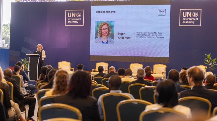 UNEA-7, Carbon Markets side event