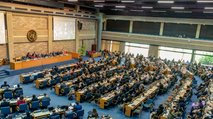 Delegaciones en un salón de conferencias