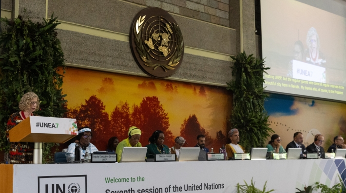 UNEA-7 opening plenary