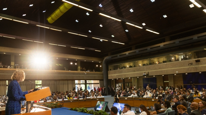 MEA day at UNEA-7