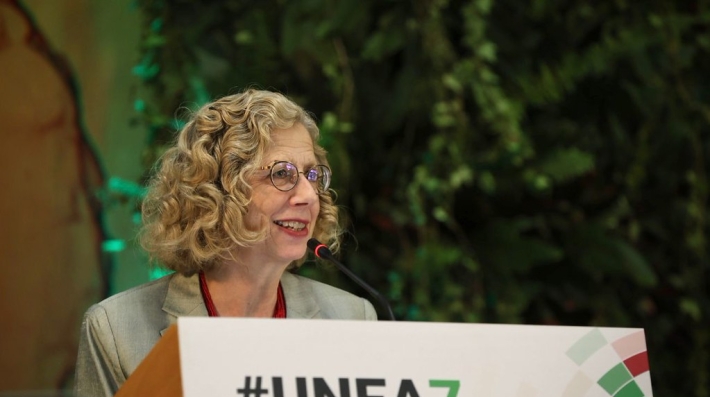 UNEA-7