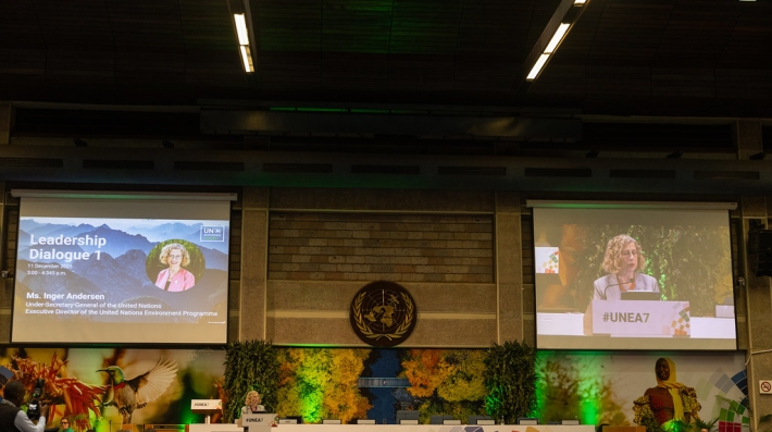 UNEP's Inger Andersen delivering remarks