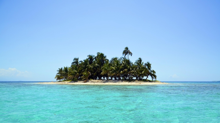 Island Tropical Beach Palm Trees