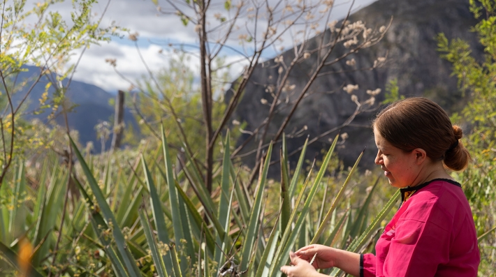 Mujer con planta de agave