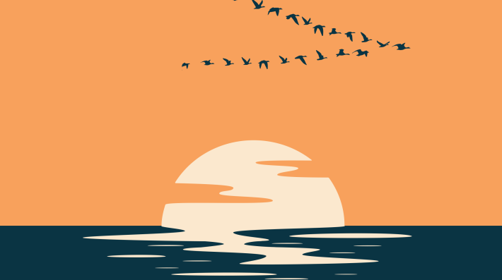 Annual report cover 2025