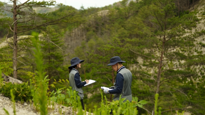 Tae-Im Heo, researcher at the Ecological Forest Restoration Office, and her staff monitor the progress of recently planted tree species in Uljin, Korea. 