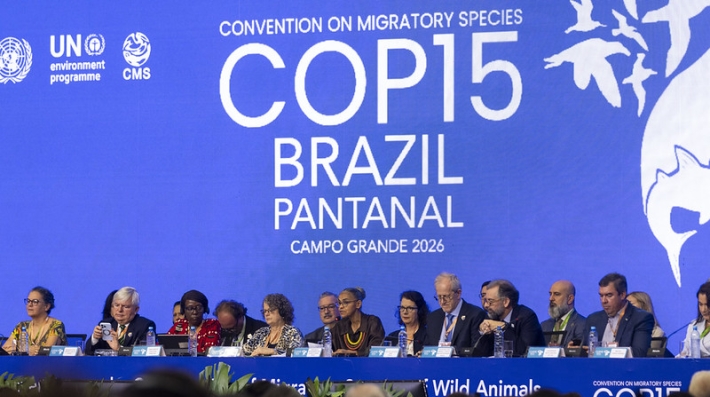 COP 15