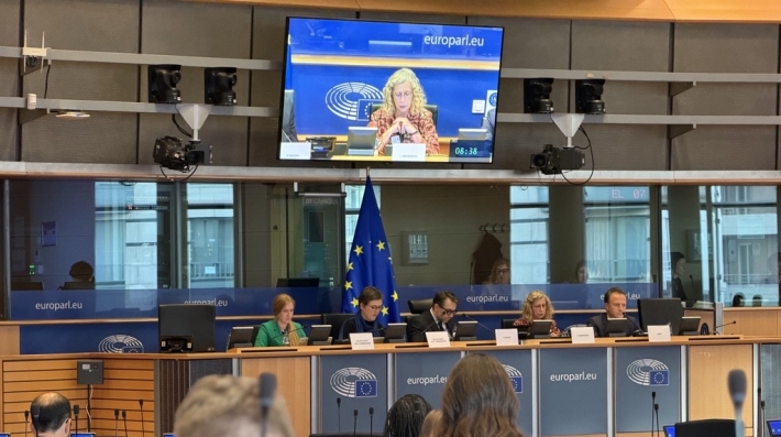 EU parliament