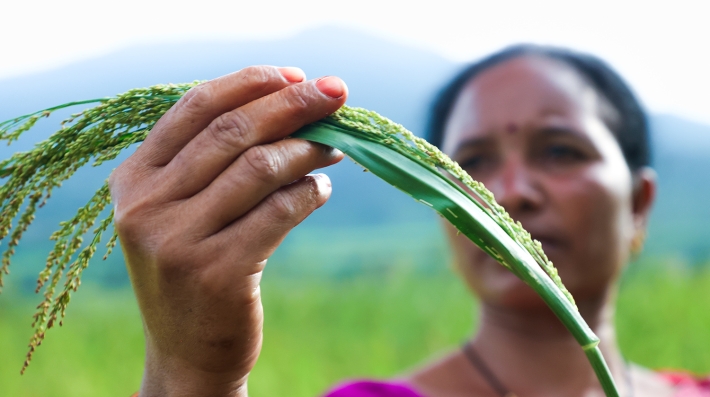 Woman holding grain