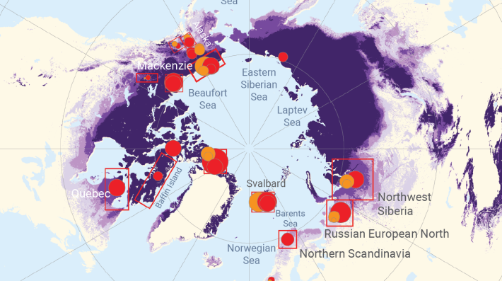 A map of the Earth as seen from the North Pole
