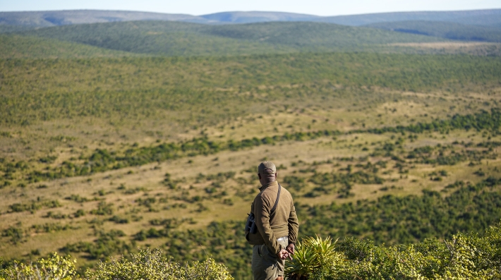 World Desertification and Drought Day 