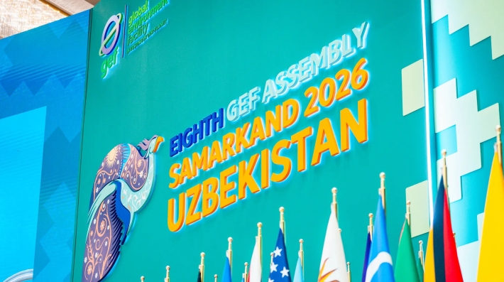 GEF Assembly