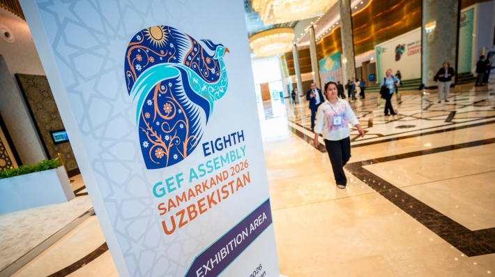 GEF Assembly