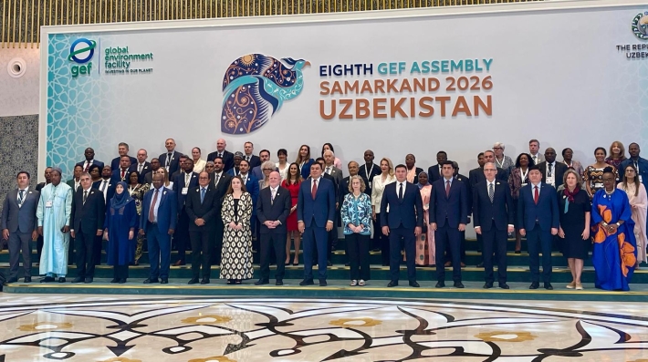 GEF Assembly