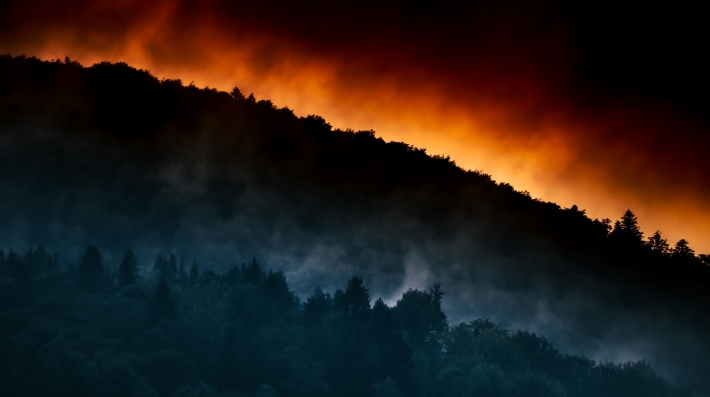 incendios forestales reporte fronteras