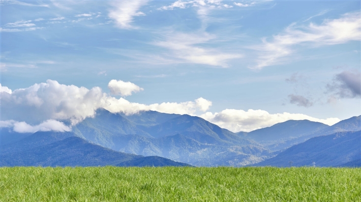 Green grass field and mountain at distance