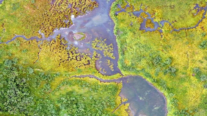 Aerial photography of a wetland