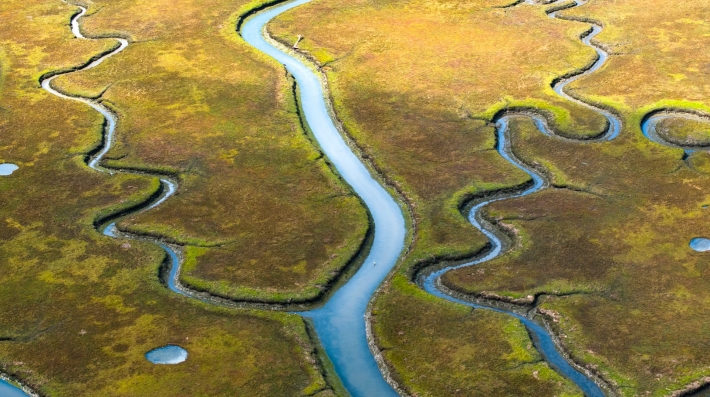 A river running through a lush green field