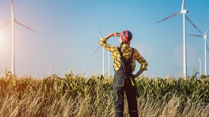 Woman looking at turbines 