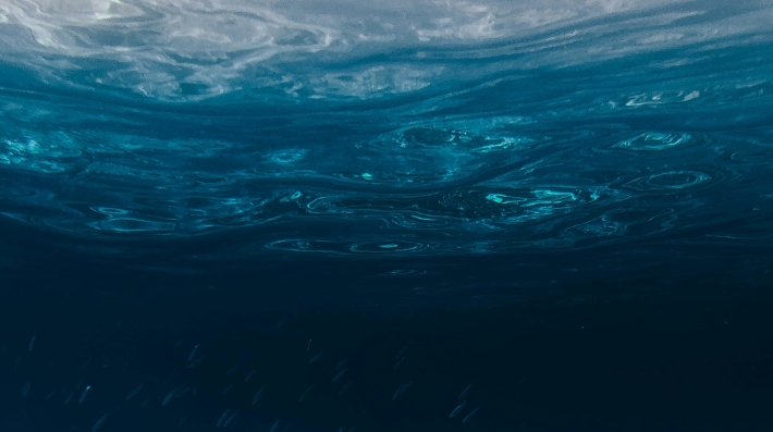 Photo by Silas Baisch on Unsplash